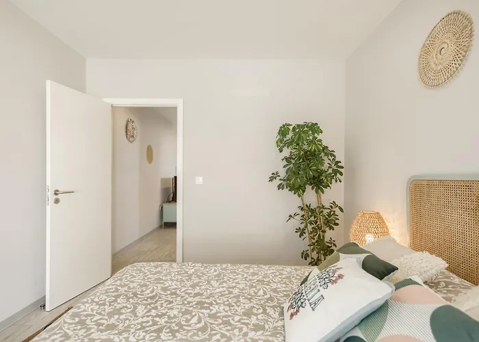 Apartment Sao Goncalinho Alegria By Sweet